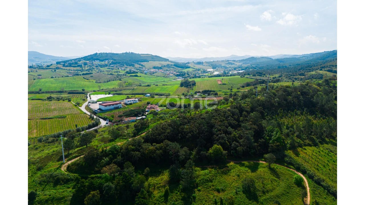 Moradia T5 para Venda em Freiria Foto 4