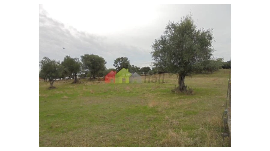 Terreno para Venda em Aguiar Foto 1