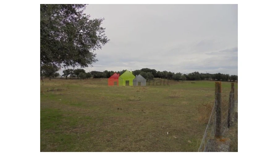 Terreno para Venda em Aguiar Foto 2