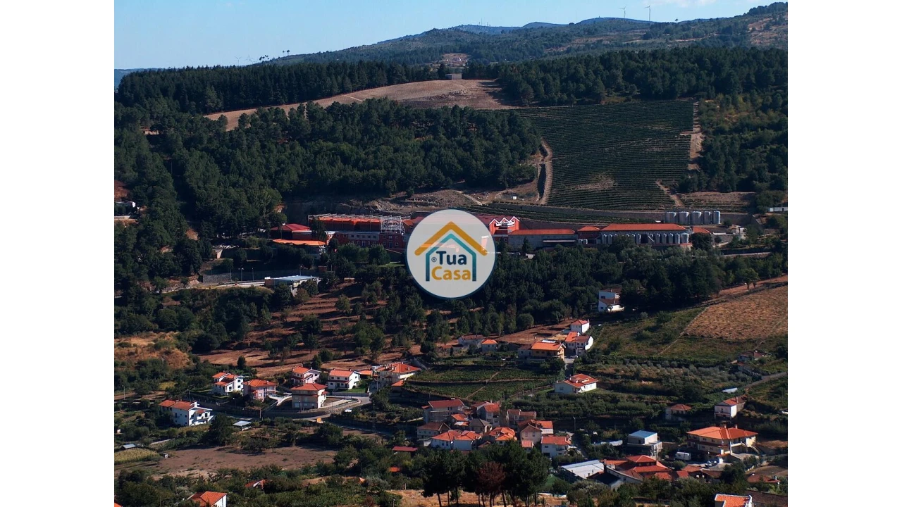 Quinta T5 para Venda em Cepões, Meijinhos e Melcões Foto 71