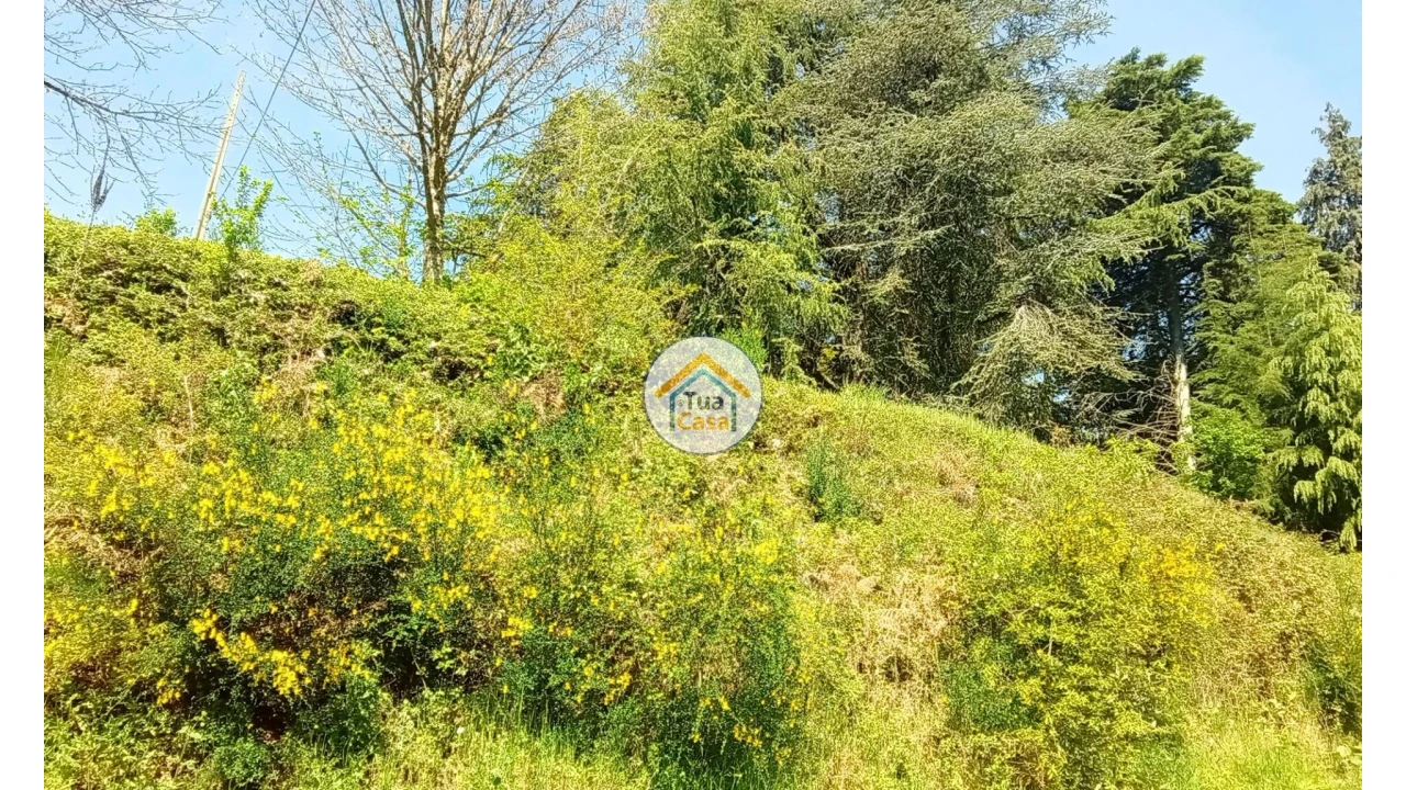 Quinta T5 para Venda em Cepões, Meijinhos e Melcões Foto 74