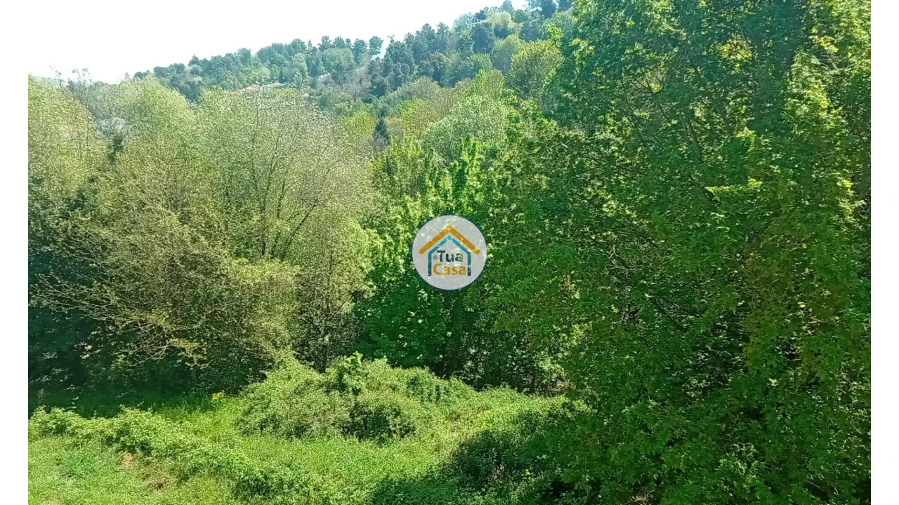 Quinta T5 para Venda em Cepões, Meijinhos e Melcões Foto 66