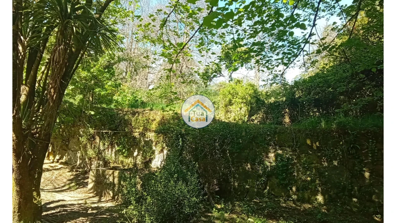 Quinta T5 para Venda em Cepões, Meijinhos e Melcões Foto 61