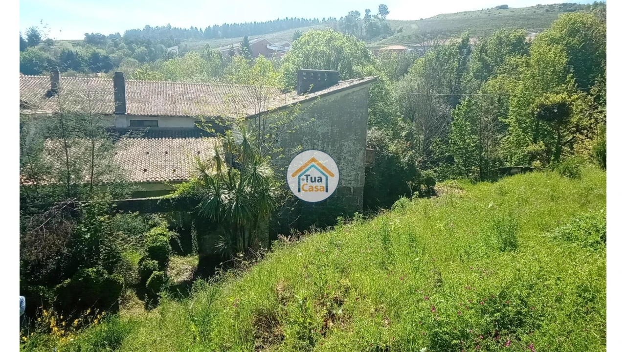 Quinta T5 para Venda em Cepões, Meijinhos e Melcões Foto 26