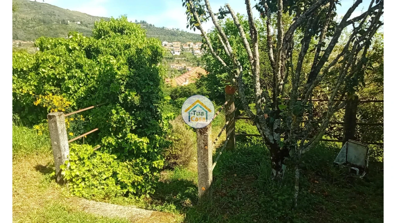 Quinta T5 para Venda em Cepões, Meijinhos e Melcões Foto 75