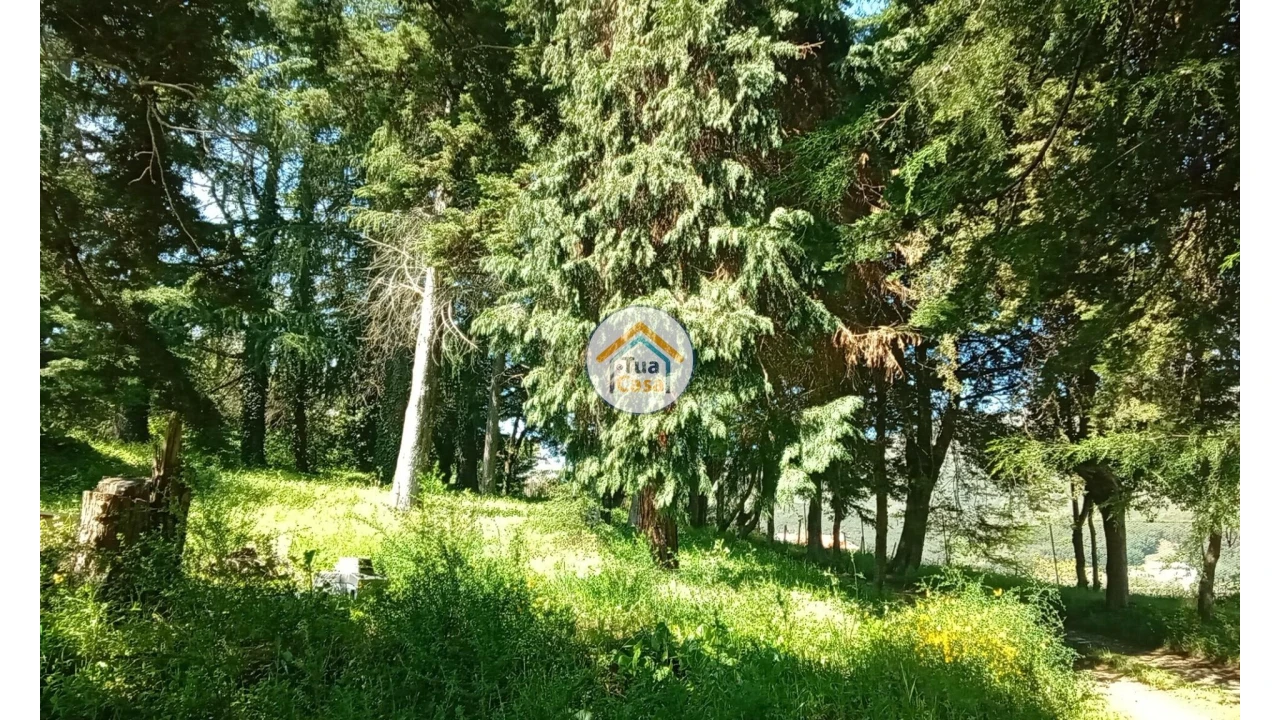 Quinta T5 para Venda em Cepões, Meijinhos e Melcões Foto 76