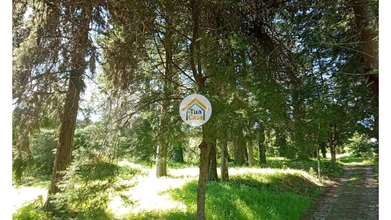 Quinta T5 para Venda em Cepões, Meijinhos e Melcões Foto 57