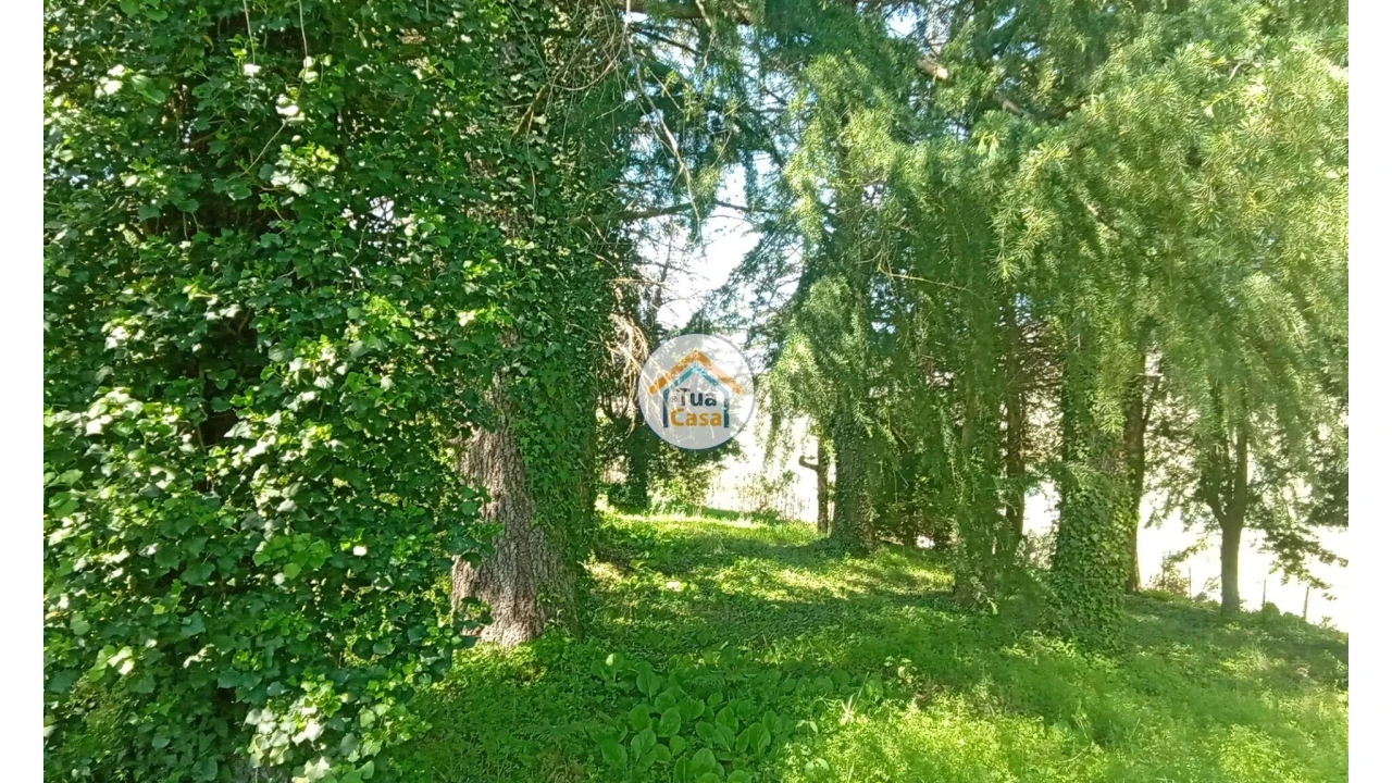 Quinta T5 para Venda em Cepões, Meijinhos e Melcões Foto 58