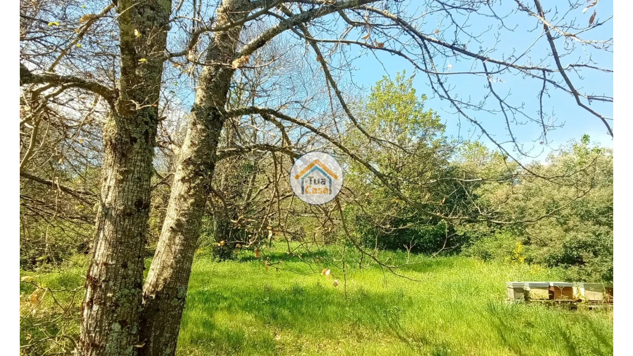 Quinta T5 para Venda em Cepões, Meijinhos e Melcões Foto 47