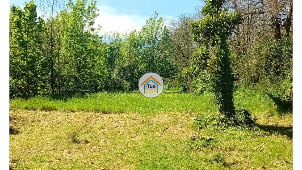 Quinta T5 para Venda em Cepões, Meijinhos e Melcões Foto 50