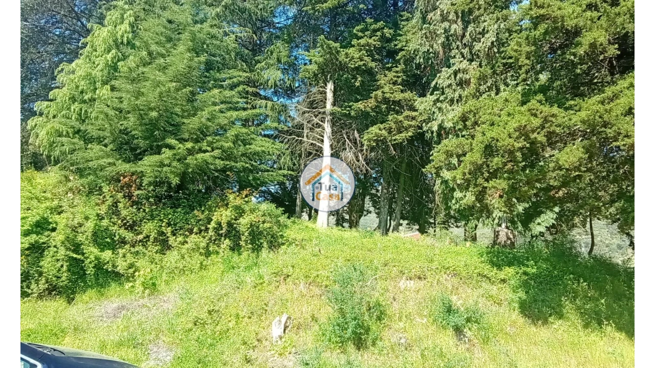 Quinta T5 para Venda em Cepões, Meijinhos e Melcões Foto 35