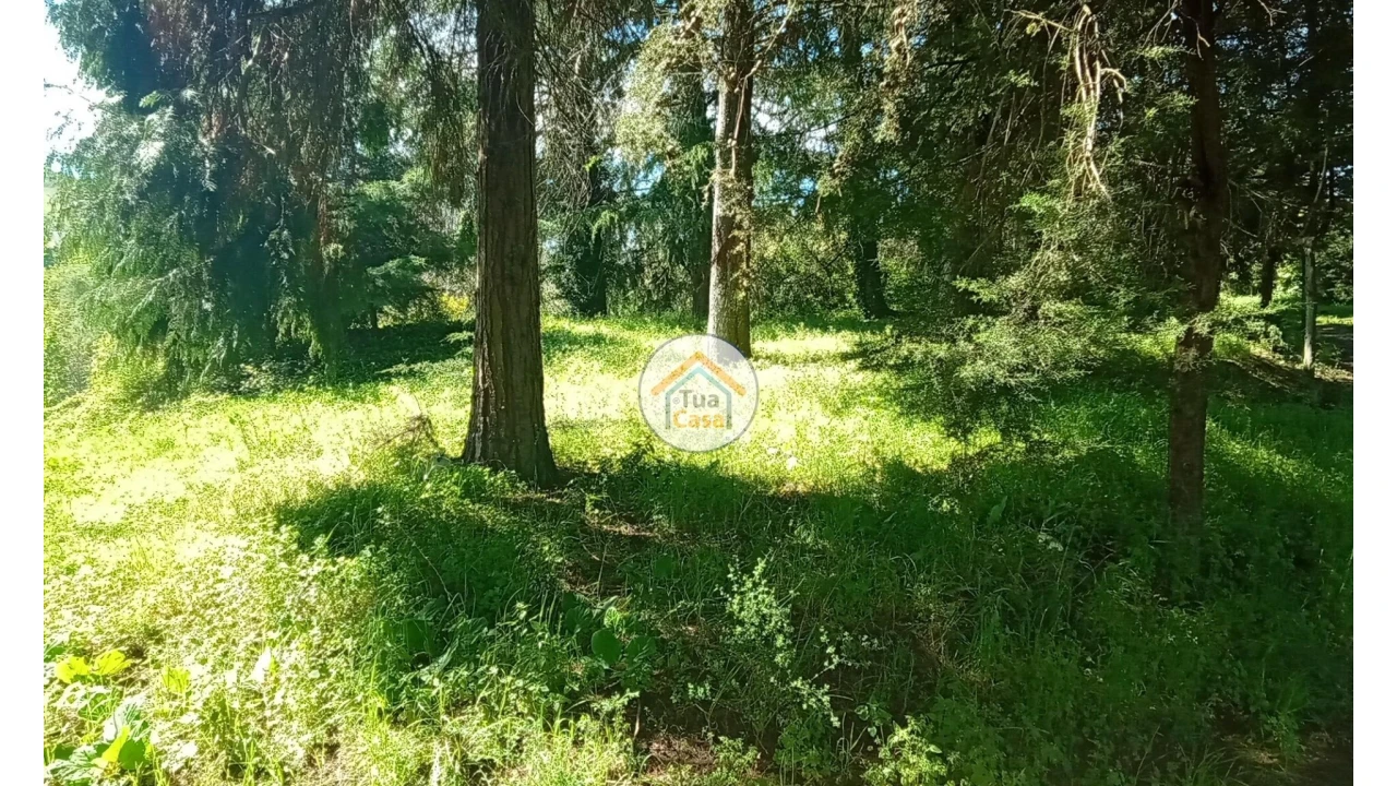 Quinta T5 para Venda em Cepões, Meijinhos e Melcões Foto 52