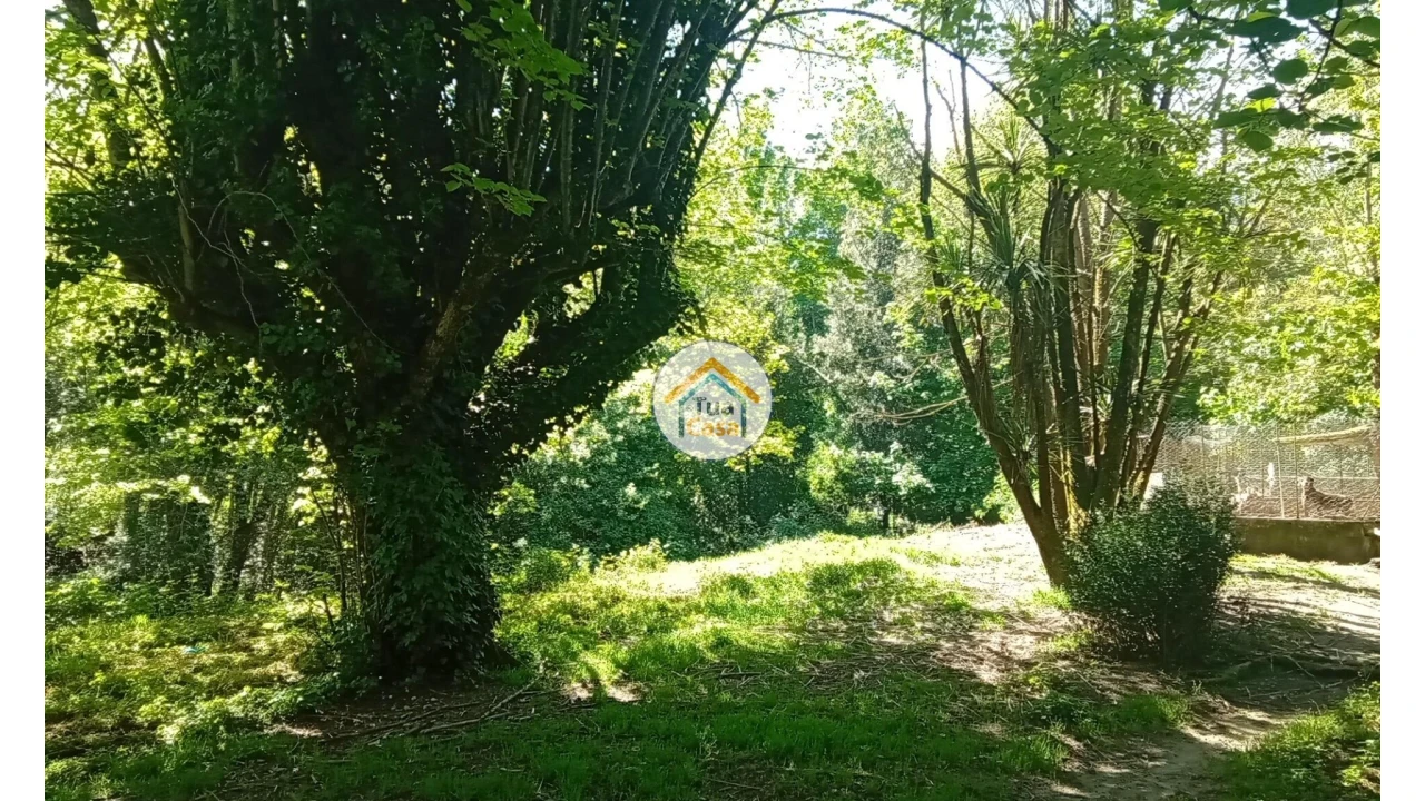 Quinta T5 para Venda em Cepões, Meijinhos e Melcões Foto 54