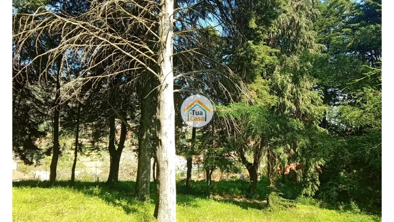 Quinta T5 para Venda em Cepões, Meijinhos e Melcões Foto 72