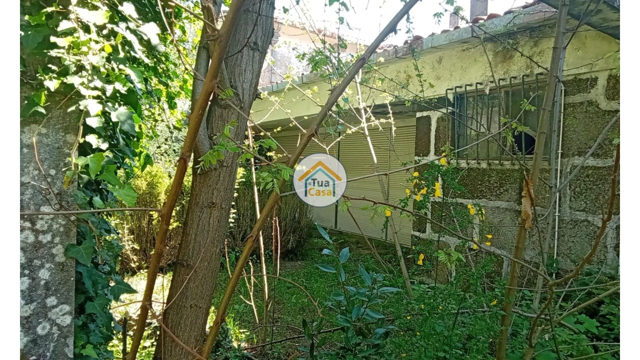 Quinta T5 para Venda em Cepões, Meijinhos e Melcões Foto 17