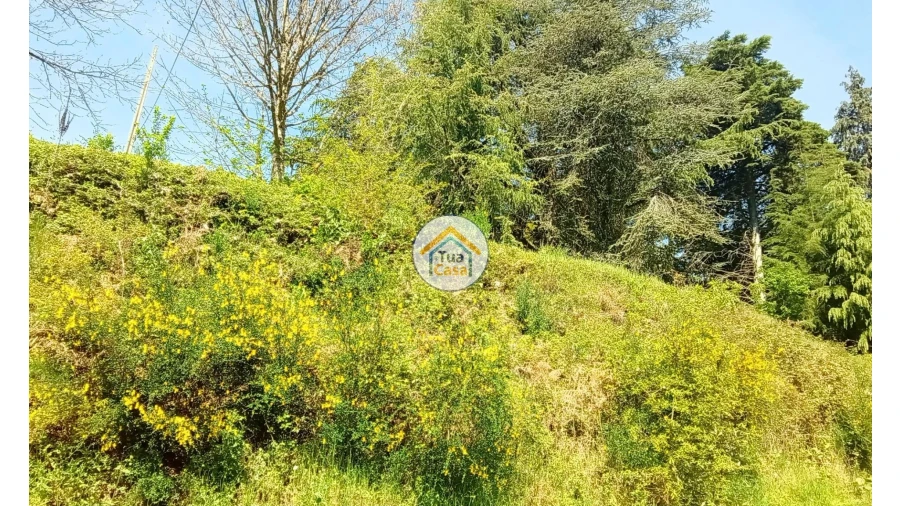 Quinta T5 para Venda em Cepões, Meijinhos e Melcões Foto 74