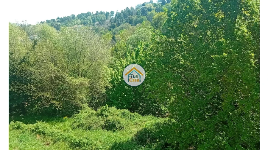 Quinta T5 para Venda em Cepões, Meijinhos e Melcões Foto 66