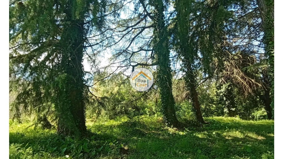 Quinta T5 para Venda em Cepões, Meijinhos e Melcões Foto 59