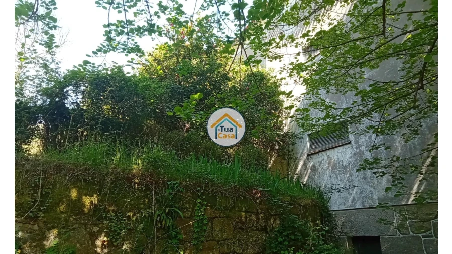 Quinta T5 para Venda em Cepões, Meijinhos e Melcões Foto 44