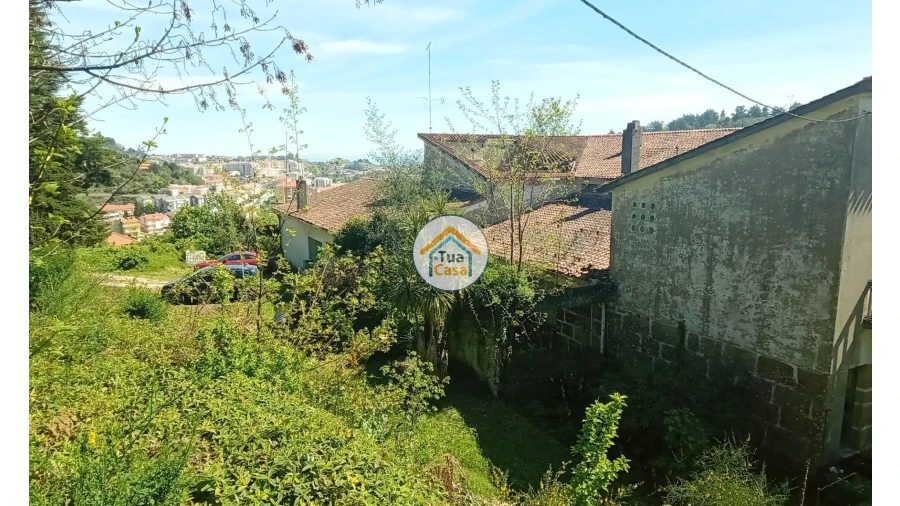 Quinta T5 para Venda em Cepões, Meijinhos e Melcões Foto 38