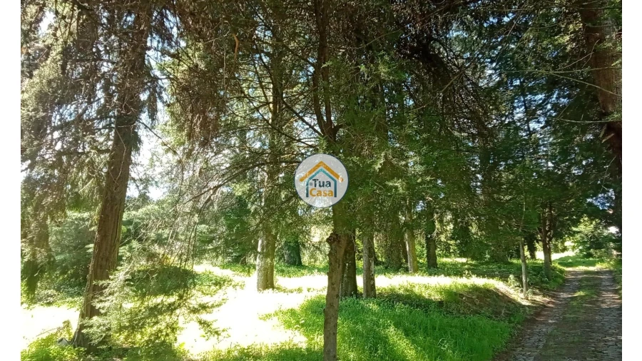 Quinta T5 para Venda em Cepões, Meijinhos e Melcões Foto 57