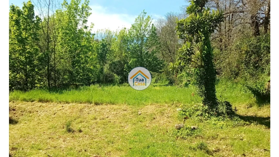 Quinta T5 para Venda em Cepões, Meijinhos e Melcões Foto 50