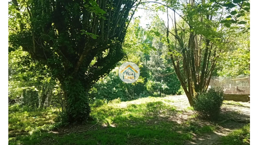 Quinta T5 para Venda em Cepões, Meijinhos e Melcões Foto 54