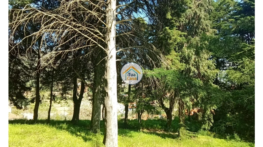 Quinta T5 para Venda em Cepões, Meijinhos e Melcões Foto 72