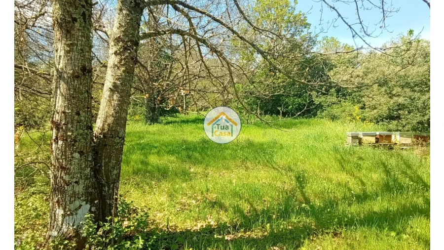 Quinta T5 para Venda em Cepões, Meijinhos e Melcões Foto 39