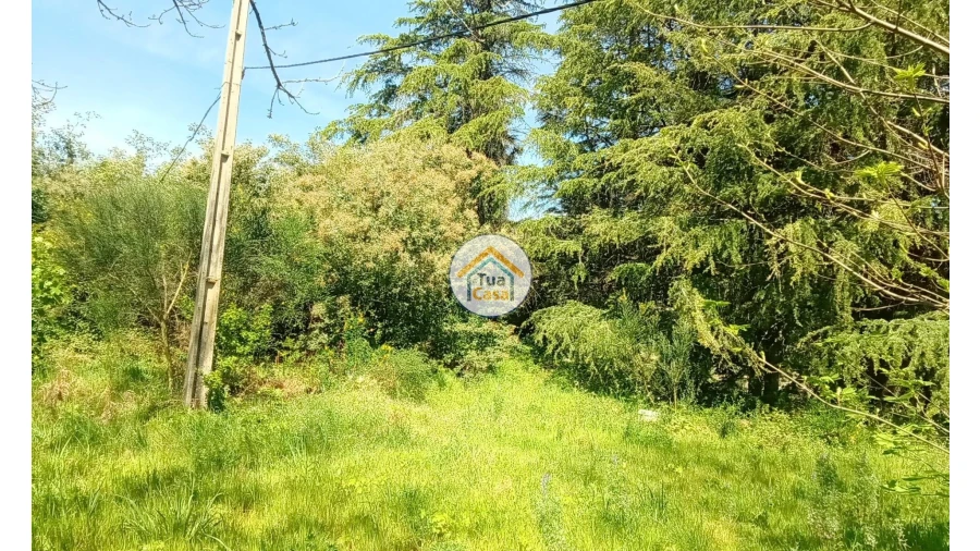 Quinta T5 para Venda em Cepões, Meijinhos e Melcões Foto 49