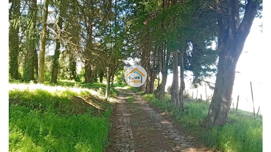 Quinta T5 para Venda em Cepões, Meijinhos e Melcões Foto 53