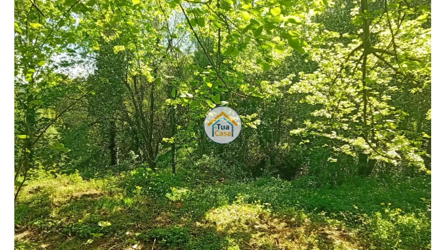 Quinta T5 para Venda em Cepões, Meijinhos e Melcões Foto 73