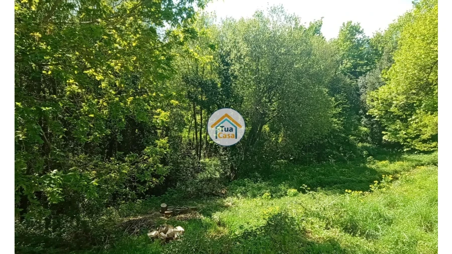 Quinta T5 para Venda em Cepões, Meijinhos e Melcões Foto 56