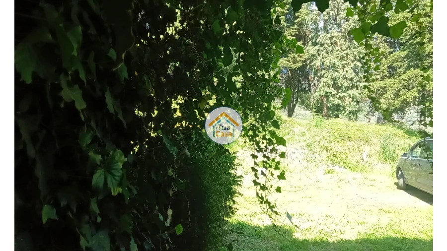 Quinta T5 para Venda em Cepões, Meijinhos e Melcões Foto 64