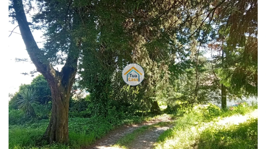 Quinta T5 para Venda em Cepões, Meijinhos e Melcões Foto 40