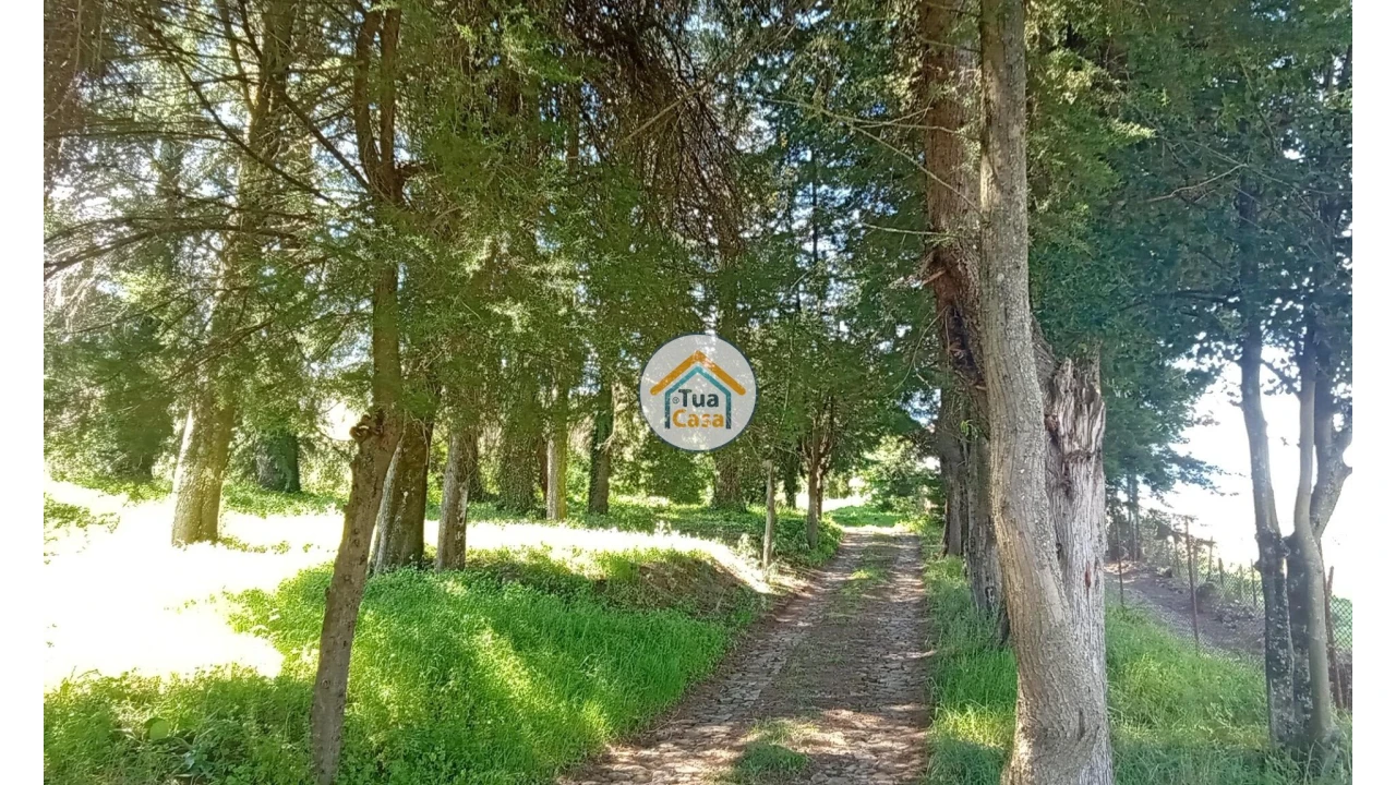 Quinta T5 para Venda em Cepões, Meijinhos e Melcões Foto 79