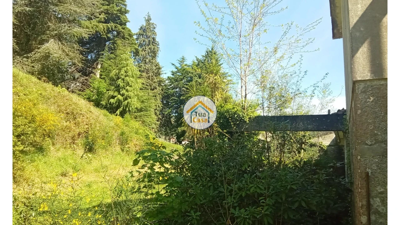 Quinta T5 para Venda em Cepões, Meijinhos e Melcões Foto 62