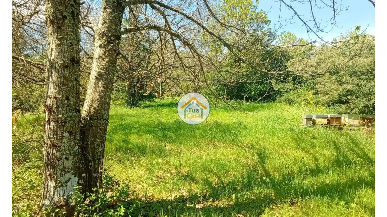 Quinta T5 para Venda em Cepões, Meijinhos e Melcões Foto 39