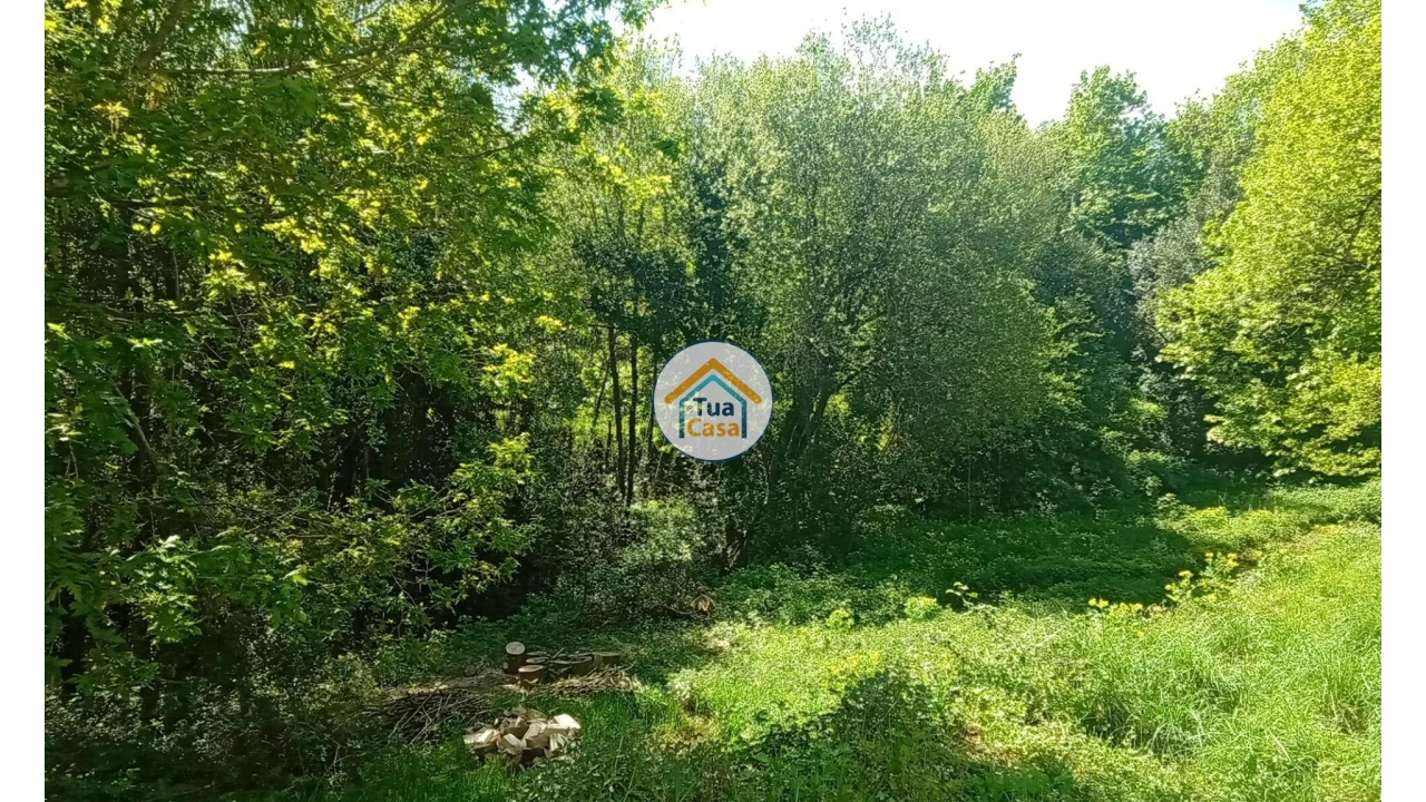 Quinta T5 para Venda em Cepões, Meijinhos e Melcões Foto 56