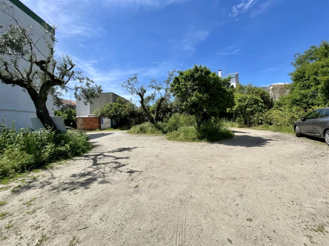 Terreno para Venda em Castelo Branco Foto 4