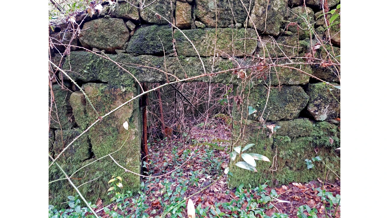 Moradia T1 para Venda em Bordonhos Foto 5