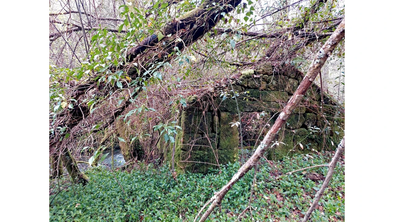 Moradia T1 para Venda em Bordonhos Foto 2