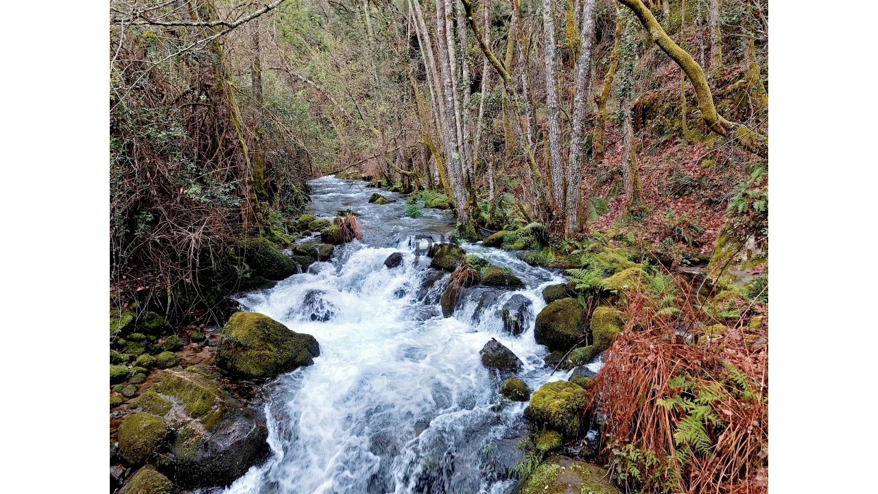 Moradia T1 para Venda em Bordonhos Foto 10