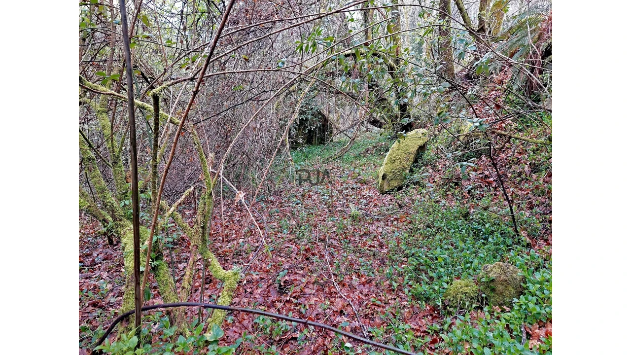 Moradia T1 para Venda em Bordonhos Foto 7