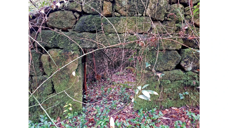 Moradia T1 para Venda em Bordonhos Foto 5