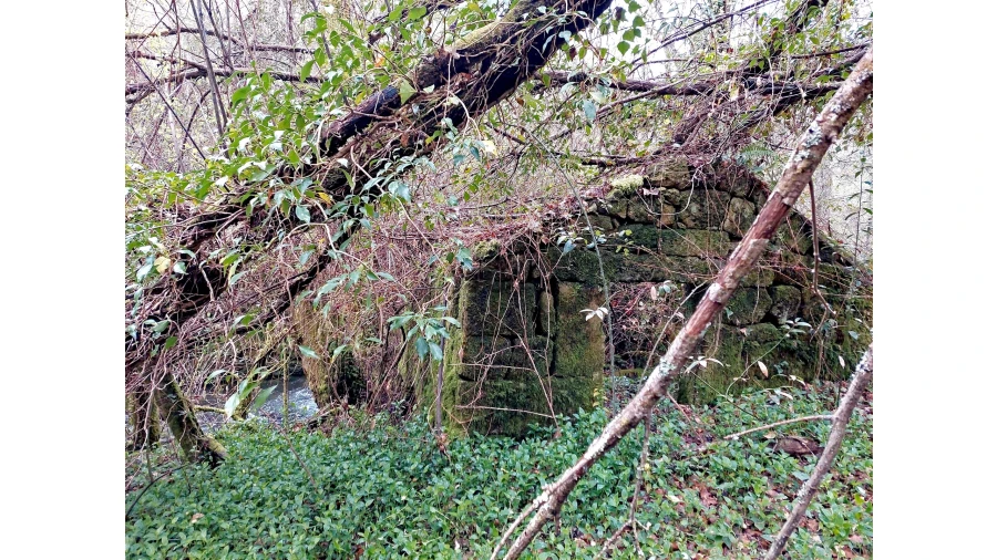 Moradia T1 para Venda em Bordonhos Foto 2