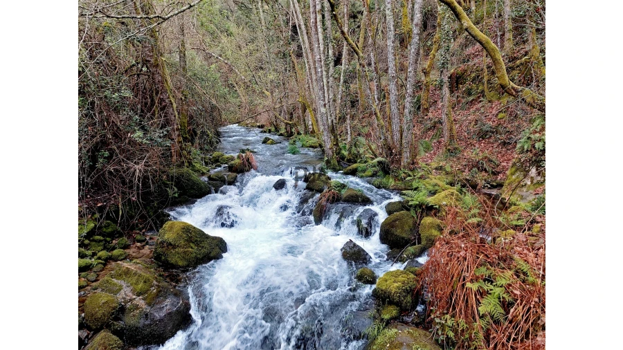 Moradia T1 para Venda em Bordonhos Foto 10