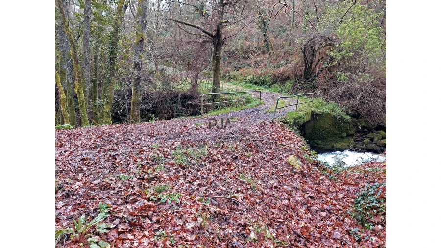 Moradia T1 para Venda em Bordonhos Foto 11