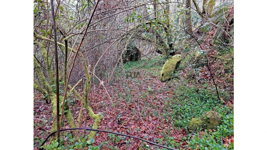 Moradia T1 para Venda em Bordonhos Foto 7