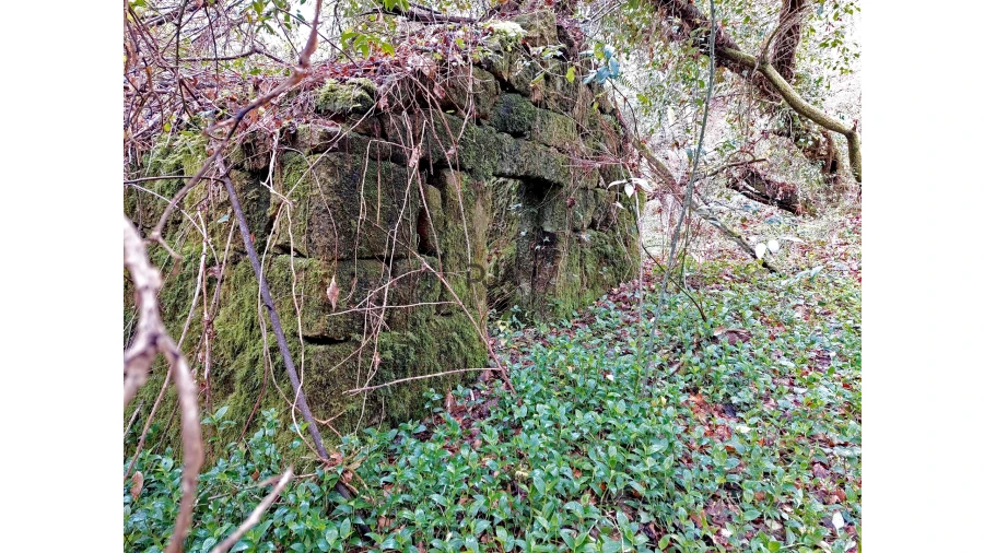 Moradia T1 para Venda em Bordonhos Foto 1